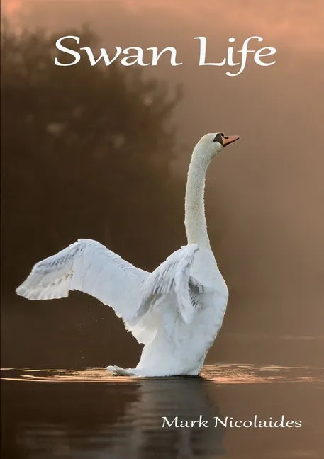 Swan Life - Paperback