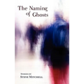 The Naming of Ghosts - Paperback