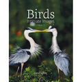 Birds: Intimate Images Volume 2 - Hardcover