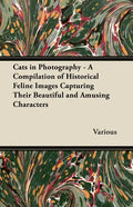 Cats in Photography - A Compilation of Historical Feline Images Capturing Their Beautiful and Amusing Characters - Paperback
