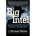Big Intel: How the CIA and FBI Went from Cold War Heroes to Deep State Villains - Hardcover