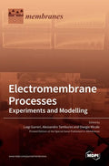 Electromembrane Processes: Experiments and Modelling - Hardcover