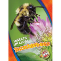 Bumblebees - Library Binding