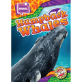 Humpback Whales - Library Binding
