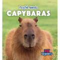 Capybaras - Library Binding