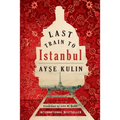 Last Train to Istanbul - Paperback