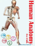 Human Anatomy for Kids - Paperback