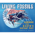 Living Fossils: Survivors from Earth's Distant Past - Library Binding