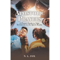 Apostolic Prayers: A Prayer Guide to Take Territories in the Spirit Realm - Paperback