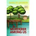 A Murderer Among Us - Paperback