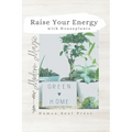 Raise Your Energy with House Plants - Paperback