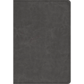 Student Study Bible-ESV - Imitation Leather