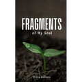 Fragments of My Soul - Paperback