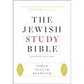 The Jewish Study Bible: Second Edition - Leather