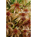 Sphagnum - Paperback
