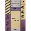 Driving Lessons - Paperback
