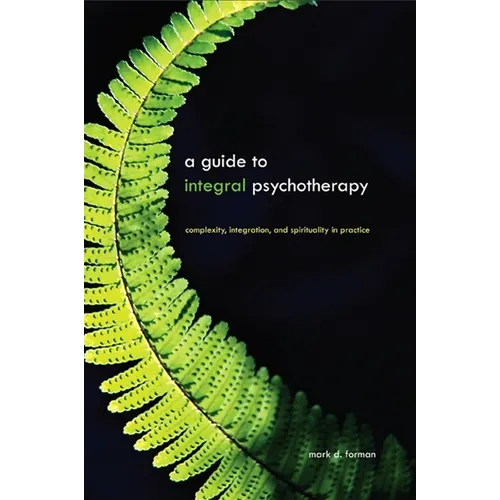 A Guide to Integral Psychotherapy: Complexity, Integration, and Spirituality in Practice - Paperback