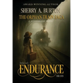 Endurance: A gripping and emotional historical fiction novel inspired by real events - Hardcover