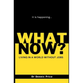 What Now?: Living in a world without jobs - Paperback