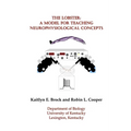 The Lobster: A Model for Teaching Neurophysiological Concepts - Paperback