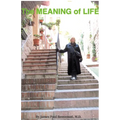 The MEANING of LIFE: (Going Into the Light) - Paperback