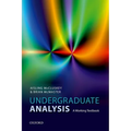 Undergraduate Analysis: A Working Textbook - Paperback