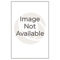 To Work and To Wed: Female Employment, Feminism, and the Great Depression - Paperback