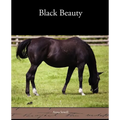 Black Beauty - Paperback