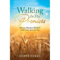 Walking In His Promises: Money Mindset Reset for the Believer - Paperback