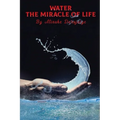 Water, The Miracle of Life: Series One - Paperback