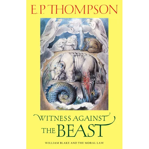 Witness Against the Beast: William Blake and the Moral Law - Paperback
