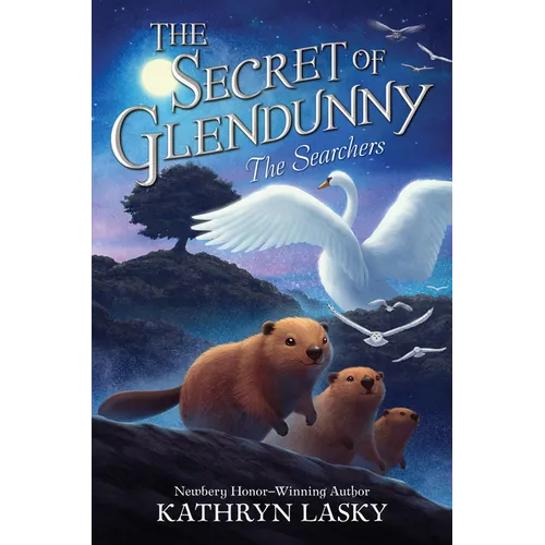 The Secret of Glendunny #2: The Searchers - Hardcover