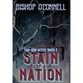 Stain of a Nation - Hardcover
