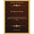 The Negro In Chicago: How He And His Race Kindred Came To Dwell In Great Numbers In A Northern City (1916) - Paperback