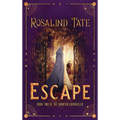 Escape: A Time Travel Romance - Hardcover
