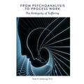 From Psychoanalysis to Process Work: The Ambiguity of Suffering - Paperback