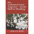 My endometriosis Journey - From Hell to Healing - Paperback