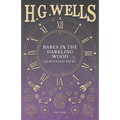 Babes in the Darkling Wood - A Novel of Ideas - Paperback
