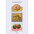 The Panacea Review: Issue One - Paperback