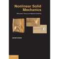 Nonlinear Solid Mechanics: Bifurcation Theory and Material Instability - Paperback