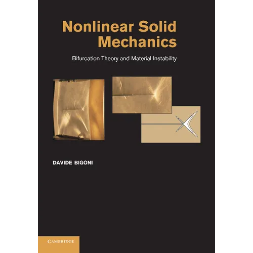 Nonlinear Solid Mechanics: Bifurcation Theory and Material Instability - Paperback