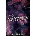 The Comedown Discreet Cover: A Rockstar Romance: A Rockstar Romance - Paperback