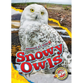 Snowy Owls - Library Binding