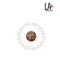 LA+ Journal: Tyranny: Interdisciplinary Journal of Landscape Architecture - Paperback