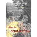 After the Resurrection: What Jesus did...Where he went...Who he saw...What was spoken... - Paperback