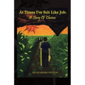 At Times I've Felt Like Job: A Story of 'Choices' - Paperback