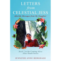 Letters from Celestial Jess: Afterlife Messages from My Daughter - Paperback