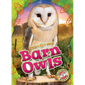 Barn Owls - Library Binding