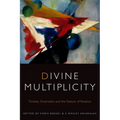 Divine Multiplicity: Trinities, Diversities, and the Nature of Relation - Paperback