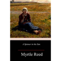 A Spinner in the Sun - Paperback